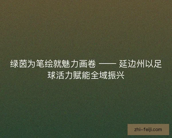 绿茵为笔绘就魅力画卷 —— 延边州以足球活力赋能全域振兴