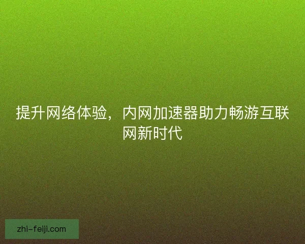 提升网络体验，内网加速器助力畅游互联网新时代